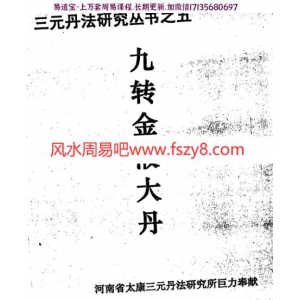 李康九转金液大丹pdf电子书80页 三元丹法研究丛书九转正功九转金液大丹电子书百度网盘下载