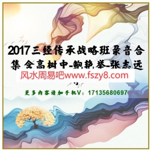 2017三经传承战略班录音合集 含高树中-鲍艳举-张志远等