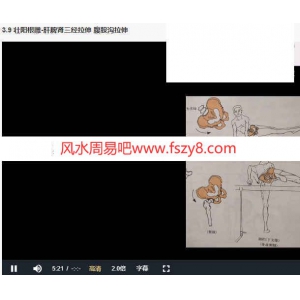 道医道医和中医教学资料 刘氏道医秘密三部曲课程录像12集