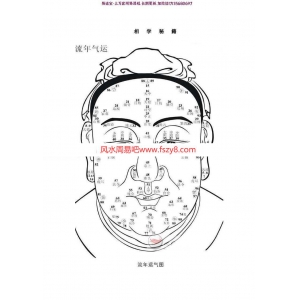 私藏相学秘本pdf全文在线阅读电子版百度云网盘免费下载