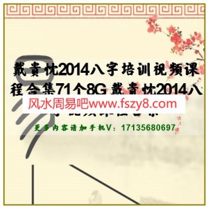 戴贵忱2014八字培训视频课程合集71个8G 戴贵忱2014八字视频课程合集