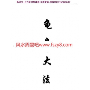 栖心子龟息大法pdf