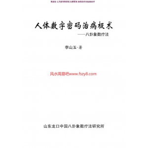 神奇的数字疗法治病法-人体数字密码治病极术pdf百度云免费下载