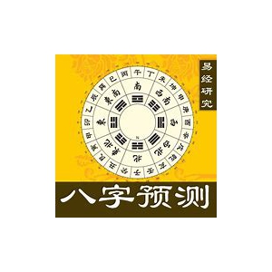 张瑞八字预测共6本合集 含张瑞中国数码预测学讲义网盘下载 张瑞八字预测教学课程