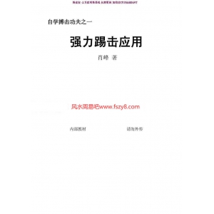 强力踢击应用(肖峰)pdf百度网盘免费下载