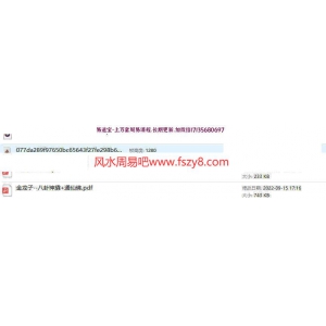 金龙子通仙佛之法+八卦神撬音频含资料pdf百度网盘下载 八卦道法金龙子通仙佛法八卦神撬