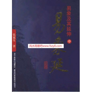 张延生-易象及其延伸中册PDF电子书534页 张延生易象及其延伸中册书