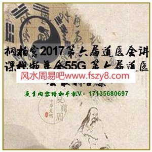 桐柏宫2017第六届道医会讲课视频集合55G 第六届道医会最新合集