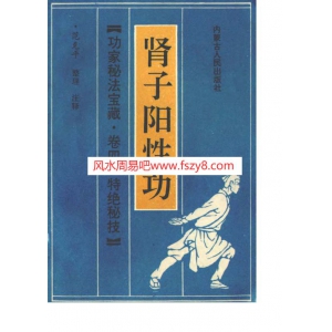 功家秘法宝藏-肾子阳性功书199页书籍网盘下载 范克平肾子阳性功PDF电子版