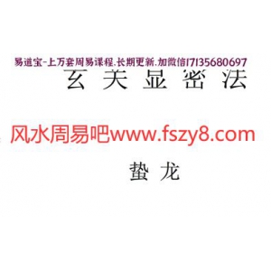 蛰龙玄关显密法电子版pdf96页 玄关形法玄关心法资料百度网盘下载