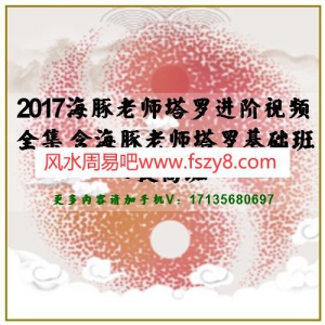 2017海豚老师塔罗进阶视频全集 含海豚老师塔罗基础班+提高班