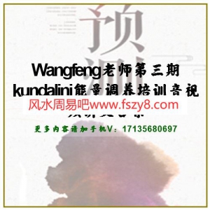 王丰老师第三期kundalini能量调养培训音视频讲义合集