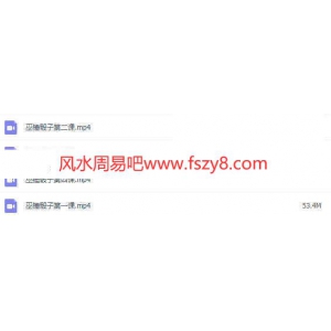 巫师骰子扑克课程下载 巫锤骰子课完结录像4集