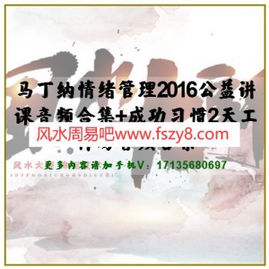 马丁纳情绪管理2016公益讲课音频合集+成功习惯2天工作坊音频合集