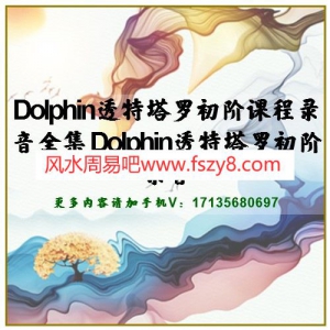 Dolphin透特塔罗初阶课程录音全集 Dolphin透特塔罗初阶录音