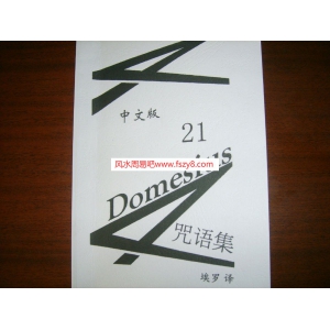 Domesius21条咒语中文版PDF电子书籍46页 Domesius21条咒语中文版书籍扫描