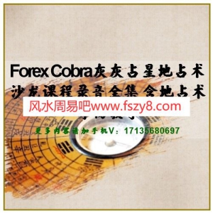 Forex Cobra灰灰占星地占术沙龙课程录音全集 含地占术寻物录音