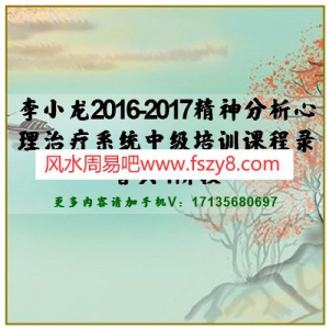 李小龙2016-2017精神分析心理治疗系统中级培训课程录音共4阶段