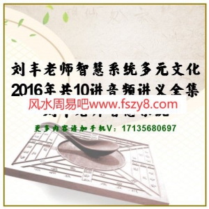 刘丰老师智慧系统多元文化2016年共10讲音频讲义全集 刘丰老师智慧系统