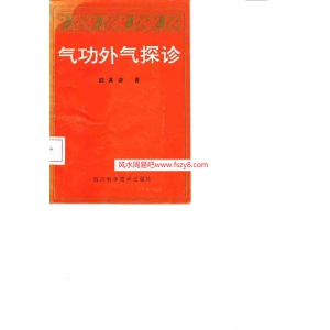 颜真源气功外气探诊书籍扫描131页 颜真源气功外气探诊气功诊疗PDF电子版