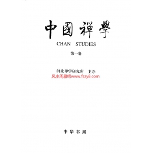 中国禅学第1卷吴言生主编电子版529页 吴言生中国禅学禅法理论资料