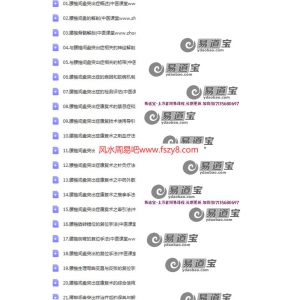 罗飞行最新腰椎间盘突出康复网盘下载 罗飞行腰椎间盘突出症综合康复术培训21集录像