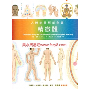 解剖全书人体能量解剖-身体能量书籍 精微体人体能量解剖全书可打印版共576页电子版下载