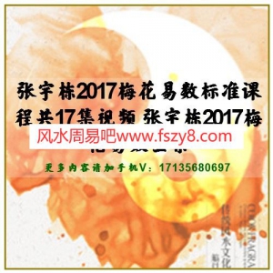 张宇栋2017梅花易数标准课程共17集视频 张宇栋2017梅花易数全集