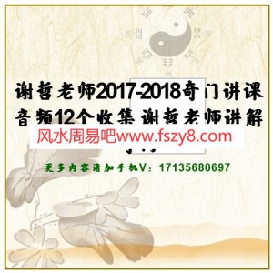 谢哲老师2017-2018奇门讲课音频12个收集 谢哲老师讲解奇门