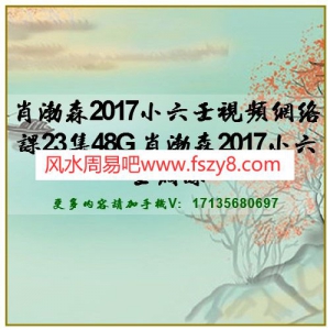 肖渤森2017小六壬视频网络课23集48G 肖渤森2017小六壬网课