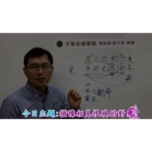 【免费】蔡添逸五行八字批命案例208集视频解析 蔡添逸八字批命课程 蔡添逸五行八字批命视频合集