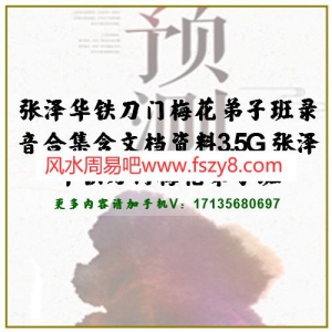 张泽华铁刀门梅花弟子班录音合集68个赠盲派高级教学 张泽华铁刀门梅花教学百度网盘下载