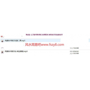 凤麟宗商业运营课3个音频+文档pdf百度云下载 凤麟宗商业运营风水运营