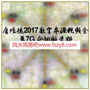 唐语德2017数字本源视频全集7G 含旧版资料