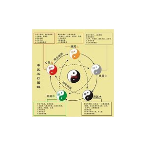 中医基础理论CHM电子版 中医基础文档中医理论电子文档