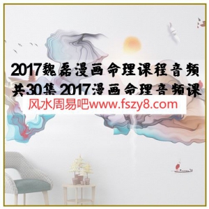 2017魏磊漫画命理课程音频共30集 2017漫画命理音频课