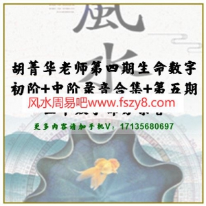 胡菁华老师第四期生命数字初阶+中阶录音合集+第五期生命数字部分录音