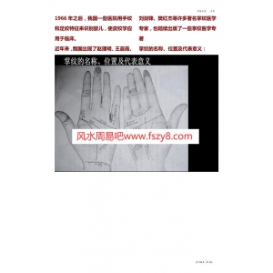中国中医手诊-面诊学大全PDF电子书113页 中国中医手诊面诊学大全书