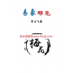 贺云飞-易象雕龙.pdf366页 贺云飞易象百度网盘合集