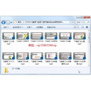 冯嘉茗飞盘奇门遁甲基础到实战课程视频35集