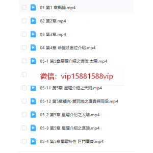 了然山人 紫微斗数视频41集＋文档
