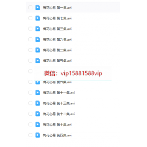田至鹤梅花心易精讲视频13集