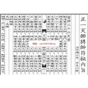 正一天师将帅符秘内旨（秘讳）25页