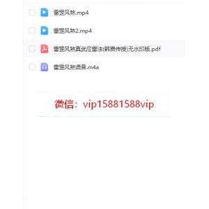 韩震  《雷罡风煞》真武应雷法视频+文档+录音