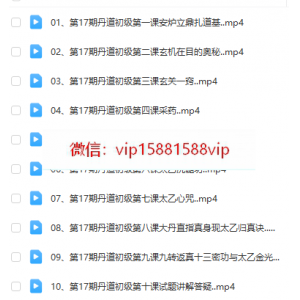 唐一琛  丹道初级视频10集