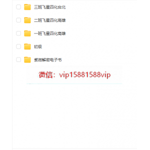 陈明业 紫微飞星四化初级+进阶视频+文档