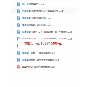 青鉴阴盘奇门遁甲9集视频文档
