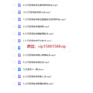 法延  九天圣母秘法(第11期)录音+文档