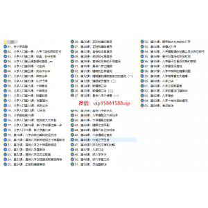 黎宏阳《四柱八字大师班》视频65集