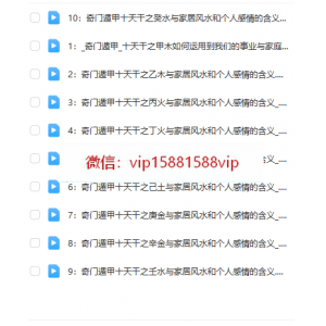 童坤元  奇门十天干意象视频10集